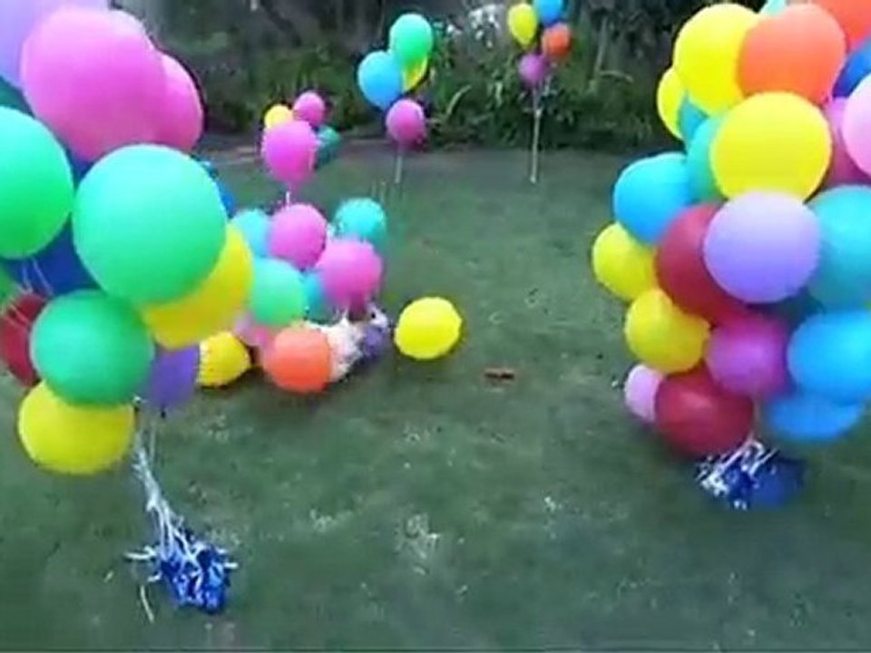Anastasia - Balloon Popping Dog