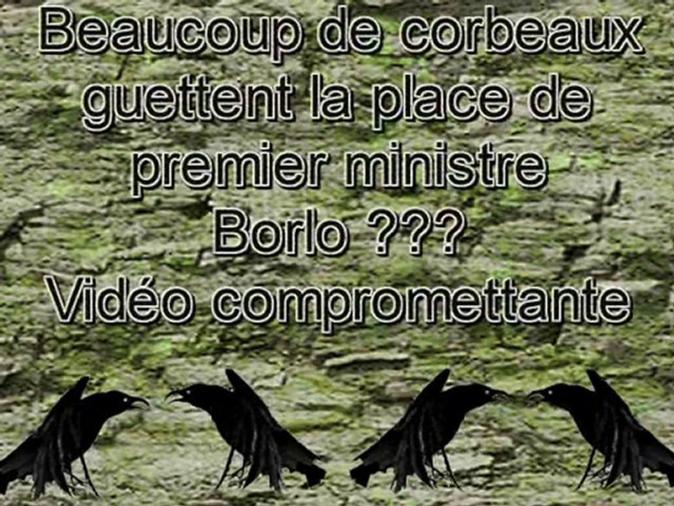 Borlo,premier ministre ???? Délire