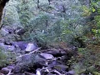 A Majestic look at Shannon Falls