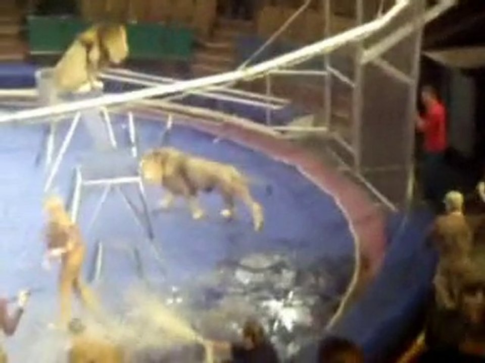 Circus lion tamer attack