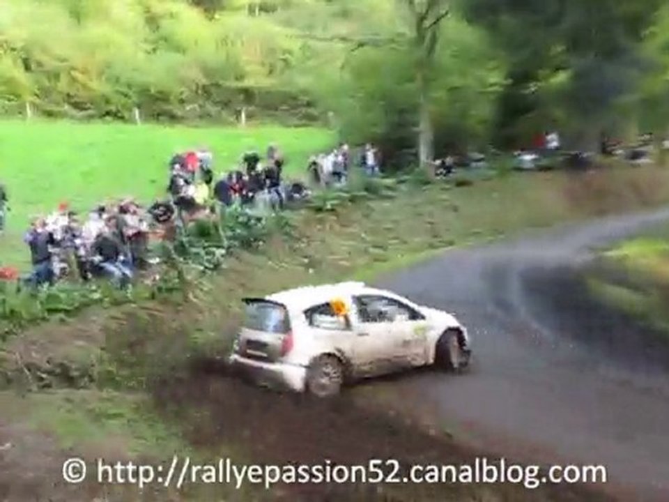 Sortie Mathieu Arzeno WRC France 2010 ES 15