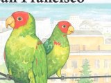The Wild Parrots of Telegraph Hill Kids Book, Ellen Leroe