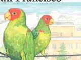 The Wild Parrots of San Francisco Kids Book, Ellen Leroe