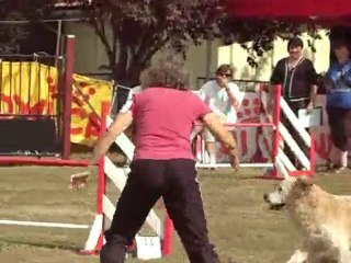 tomuch 3 degré  cugnaux