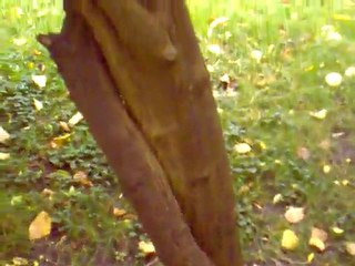 thanks but no thanks