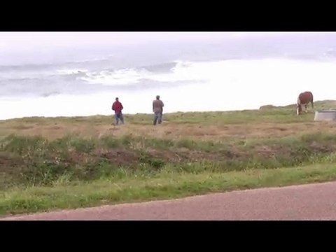 côte nord octobre 2010