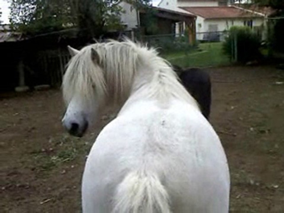 Wiwi recule aspi.. Nouveau!! qqs foirages mais la bouiiille!