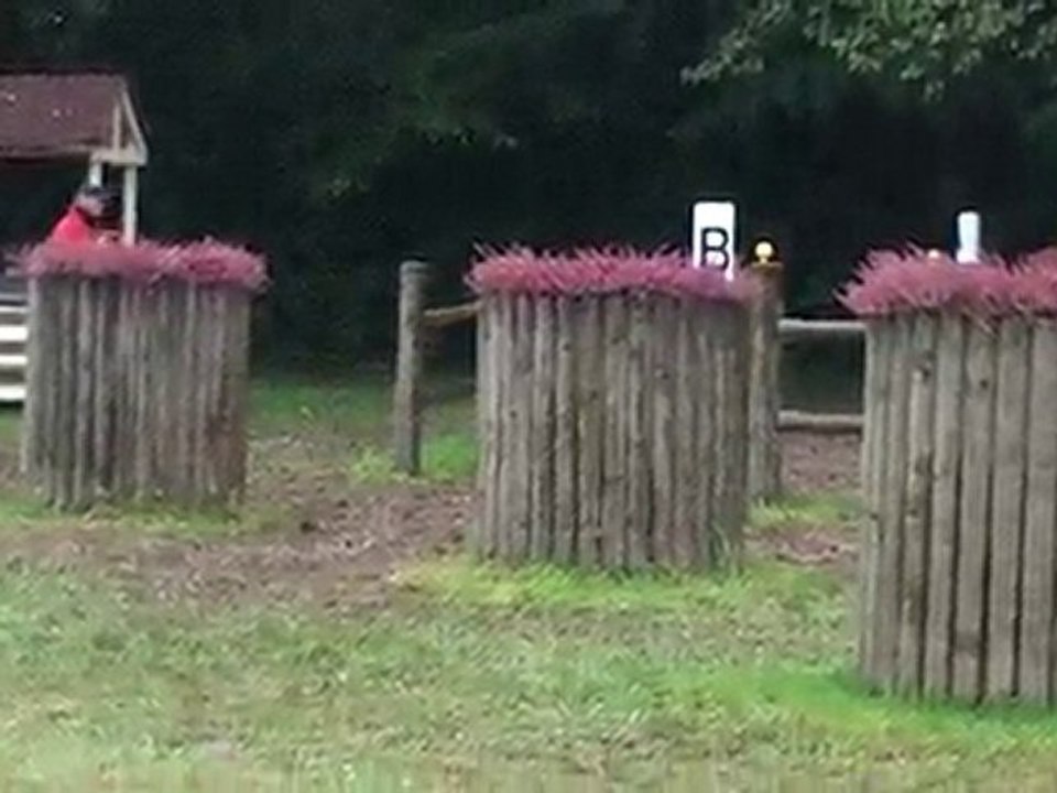 Championnat de Belgique d'attelage (Courrière 2010) (Obs. 4)