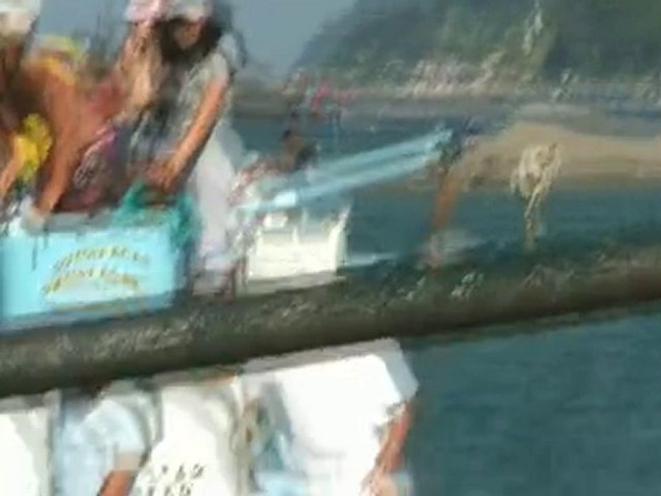 abana deniz senlikleri 2010