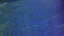 IMG_0017[1]