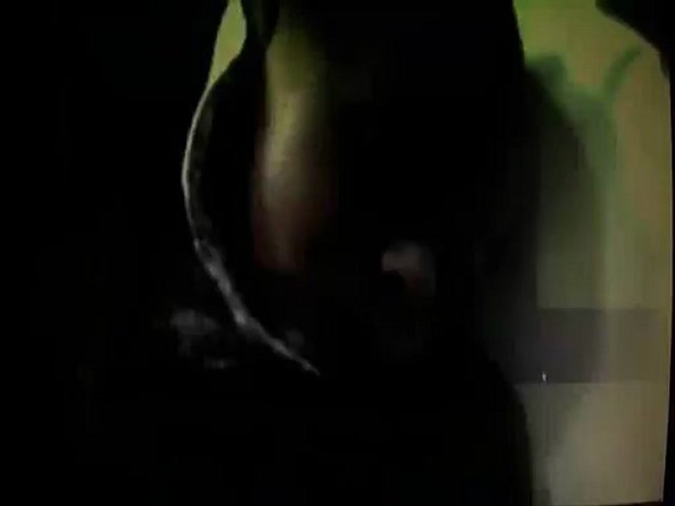 Première année d'une vie !