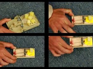 Davy Crockett - You don't run to a gun fight - Act II