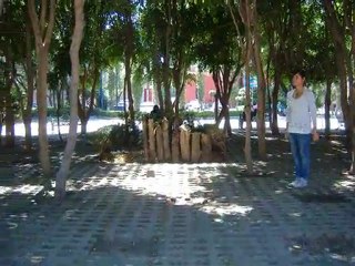 12 fotos por Segundo