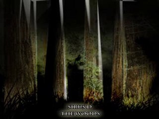 SIRUS D-THE WOODS (DRUM-STEP...or whatever u ...