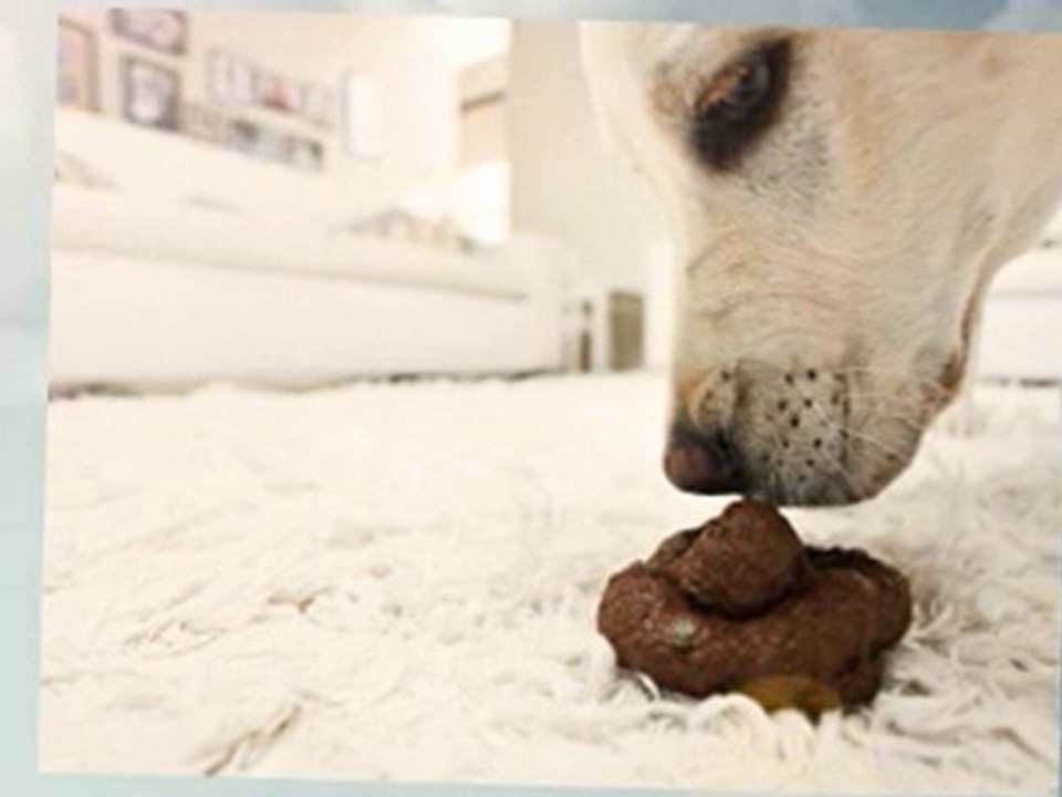 How To Clean A Red Wine Stained Carpet?