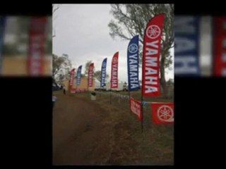 Wing Display Banners