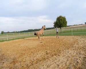 Kiowa en pleine forme