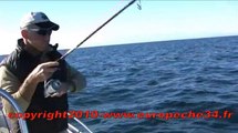Pêche au jig-leurre en mer des loups-maquereaux-calamar par Europêche 34