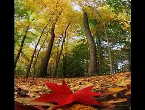 Farid Farjad-Dört mevsim melankoli