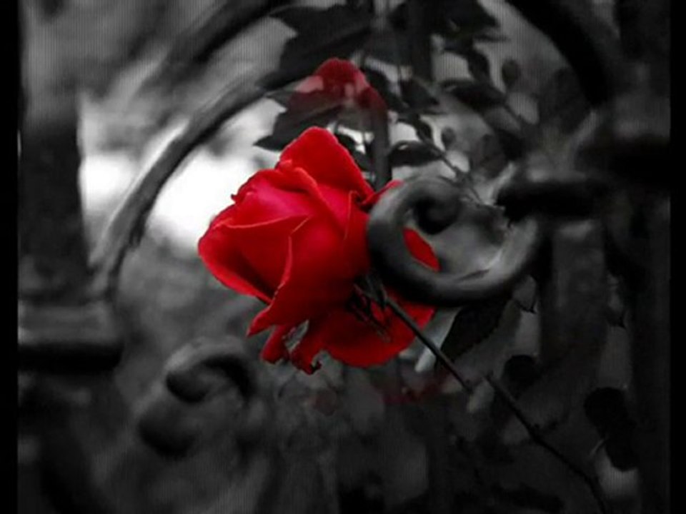 Rahdan-Ya Olmasa Gözlerin