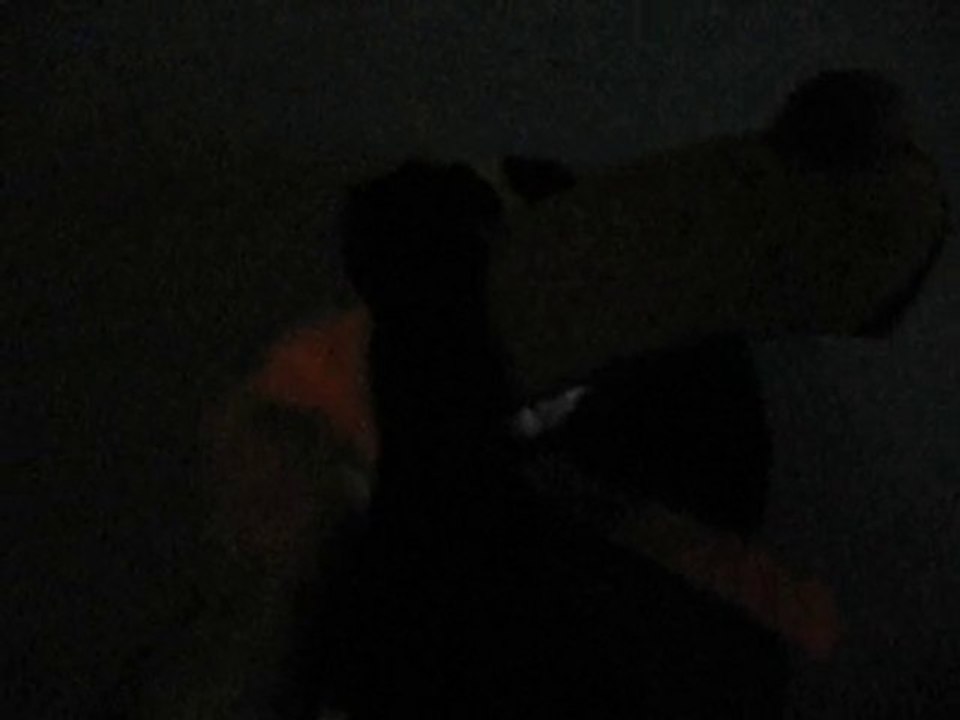 PIRAS e HP7