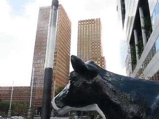 Amsterdam : gratte-ciel