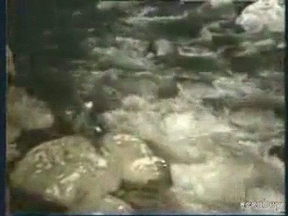 CENGİZ KURTOĞLU--SEVİYORUM--ORJINAL KLİP