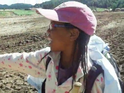 Les cochons. Rando.faceci.2010