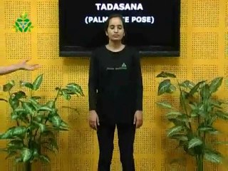 Palm Tree Pose(Tadasana)