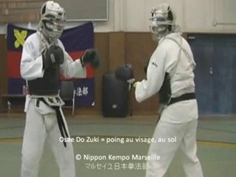 Les techniques au Nippon Kempo - Nippon Kempo Marseille