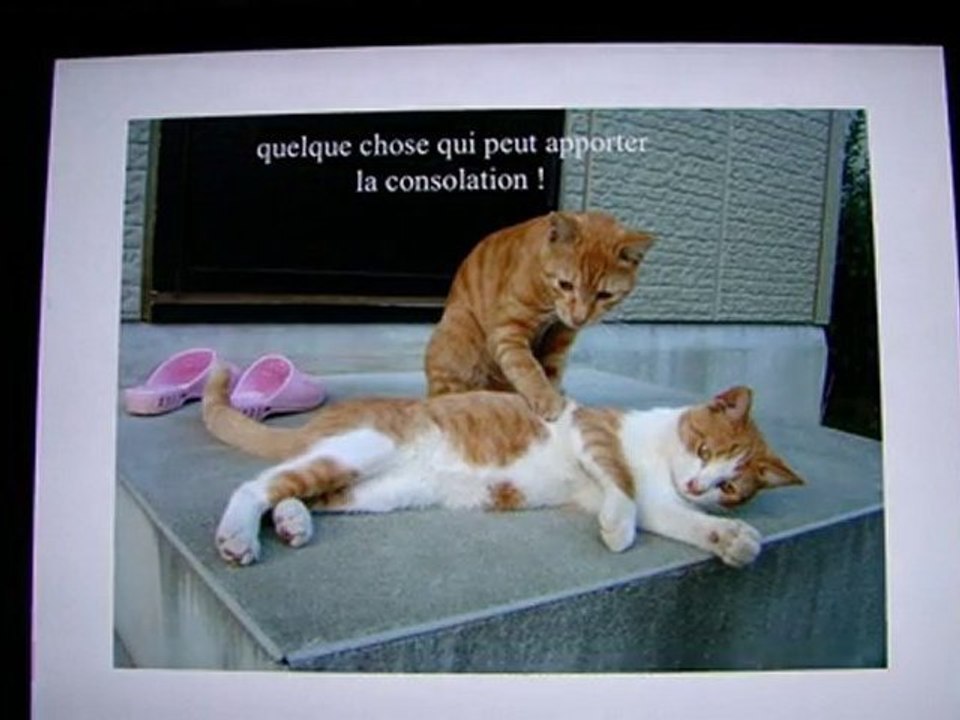 L'amitié