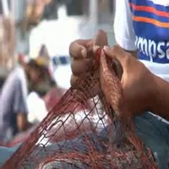 L'alphabétisation et l'insertion professionnelle  محو الأمية