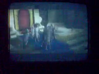 LINK TWILING PRINCESSE (5) la princesse du chateau d'hyrule