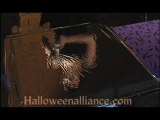 Halloween decoration prop - Two way mirror
