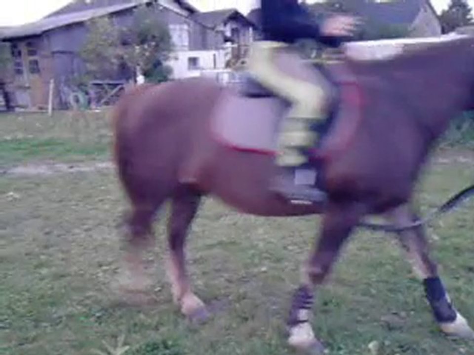 Salim obstacle monte :)