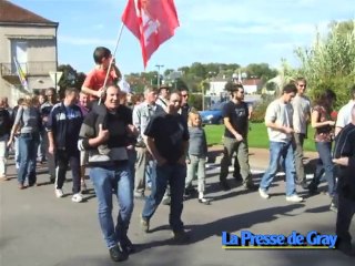 Manifestation contre la réforme des retraites, à Gray