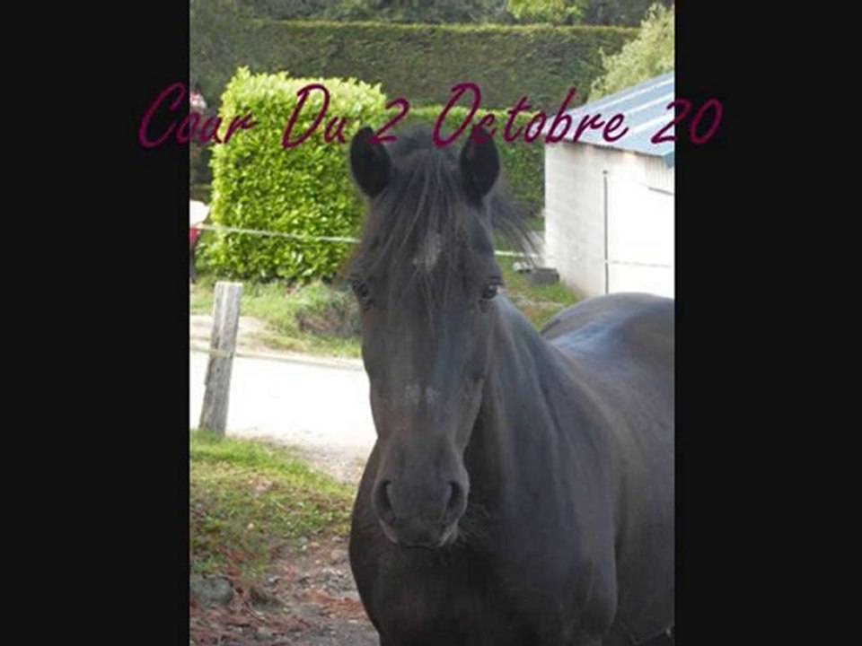 Frimeur ♥ En Dressage