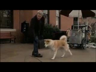 Hachiko- A Dog's Story