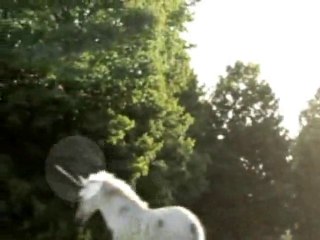 Unicorn Sighting Video