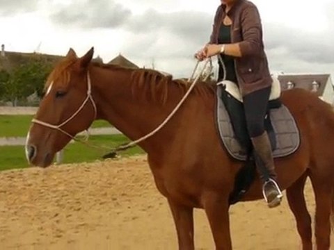 Flexions encolure en selle_6 octobre 2010