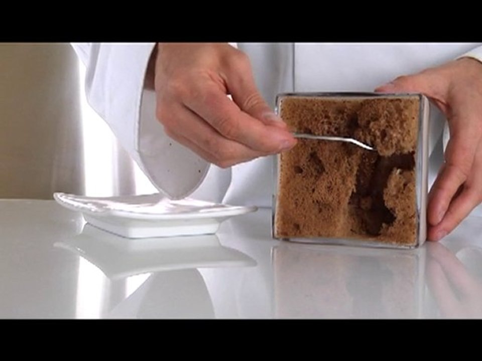 Cuisine Moléculaire: Cuisine R-ÉVOLUTION