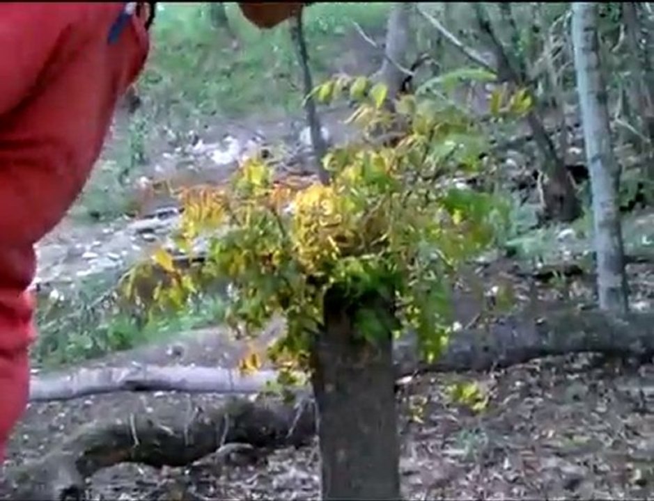 The Popular Podcast #288: This is Austin, Texas Right Now