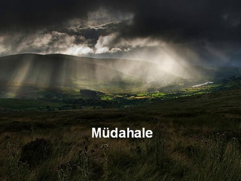 Müdahale