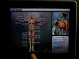 Muscle & Bone Anatomy 3D iPad App Demo