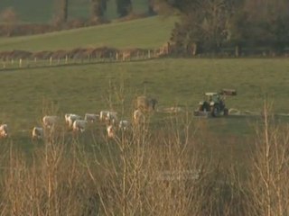 La croisée des chemins