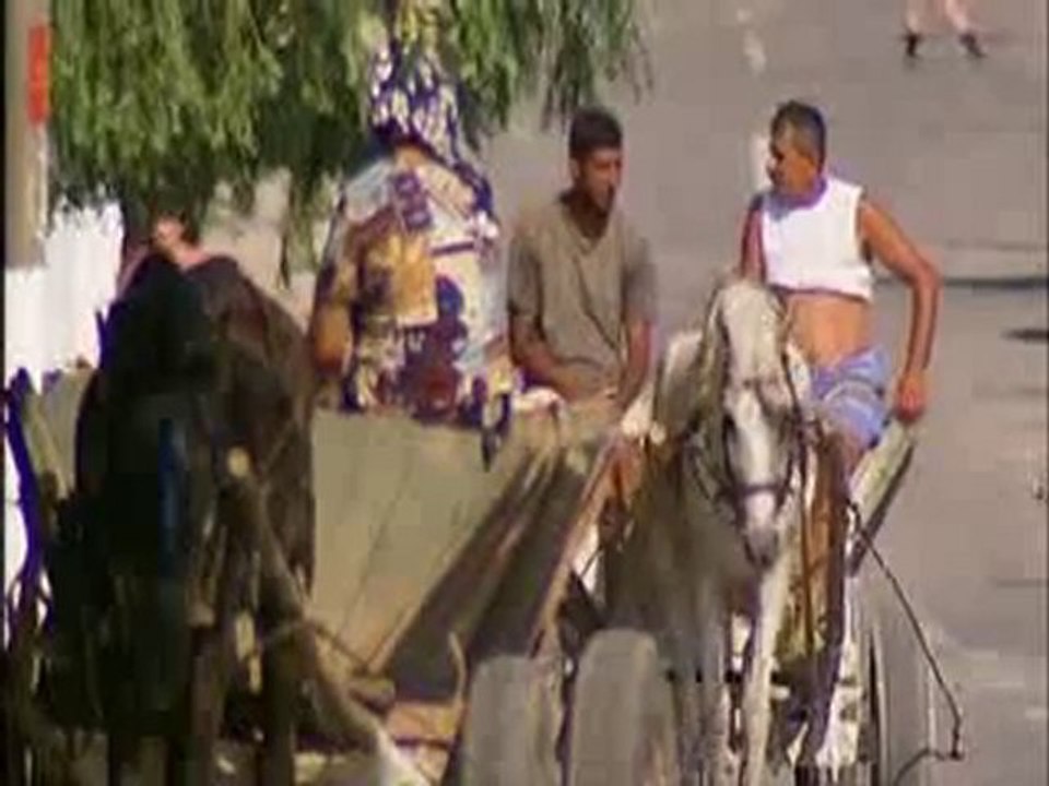 Creatures De La Grotte De Movile 2