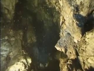 Creatures De La Grotte De Movile 3