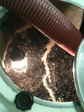 La fermentation alcoolique