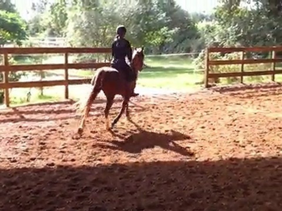 1ere séance Septembre