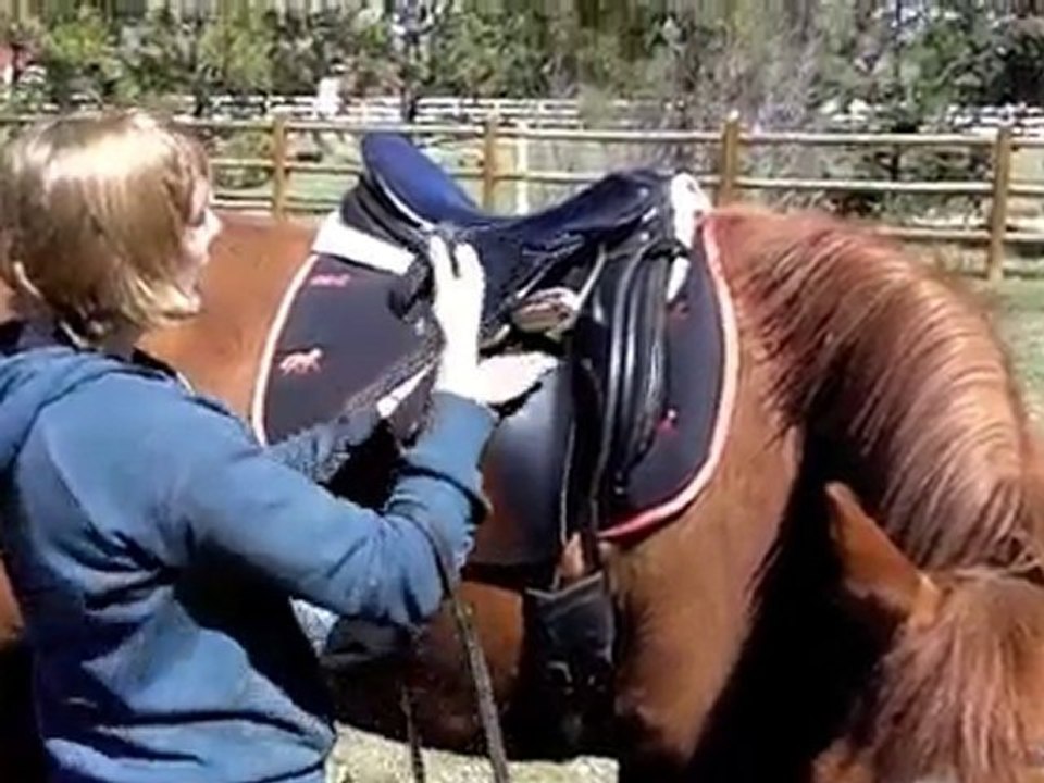 How to run up your stirrups video Dailymotion